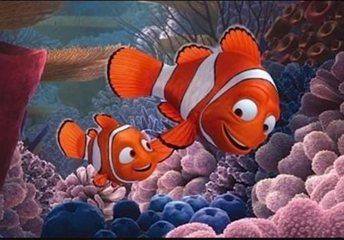 Two clownfish swim among colorful coral in an animated reef scene, featuring bright orange bodies with white stripes and cheerful expressions.