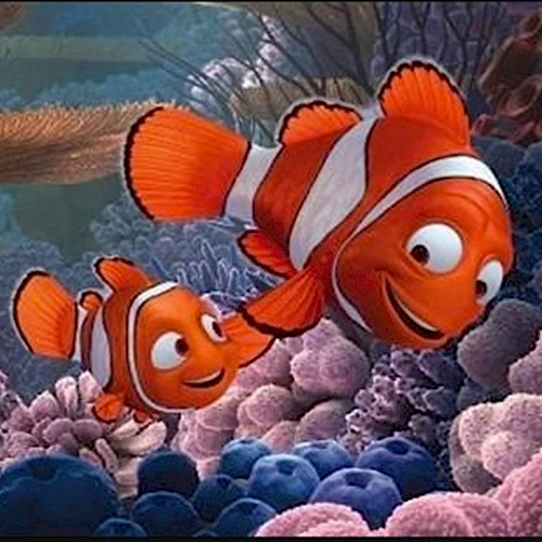 Two clownfish swim among colorful coral in an animated reef scene, featuring bright orange bodies with white stripes and cheerful expressions.